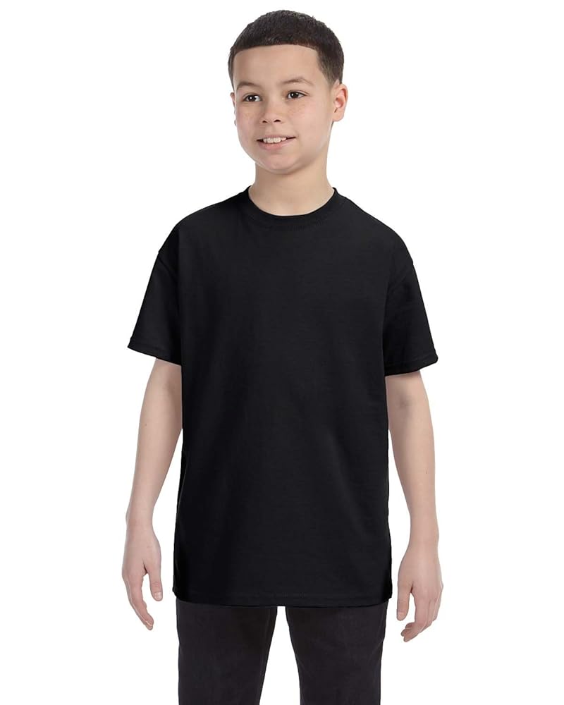 『 Cobain』FRUIT OF THE LOOM ブラック Tシャツ 00's FRUIT OF THE LOOM ''GHOST IN THE SHELL/STAND ALONE